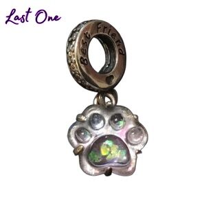 S925 Glow Best Friend Pet Paw Charm Pandora Style 🐾